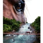 Horse Riding Guide by HorseClass - Kindle Edition-0