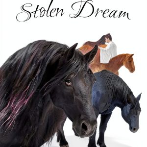 Dream Horse Adventures Book 4 The Secret Stable by Hastings Creations-0