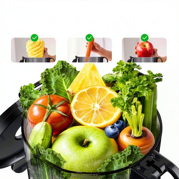 Cold Press Juicer Aeitto Max5 5.8 inch Matte Black Single Auger-1